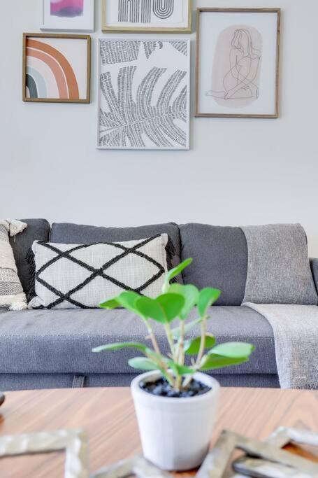 Bright Apartment Walk To Ballston Metro アーリントン エクステリア 写真